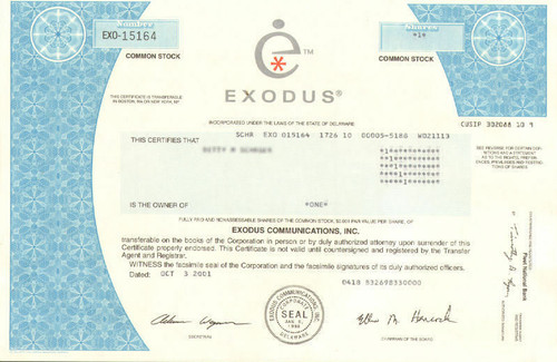 Exodus communications dot com - exodus, dot-com